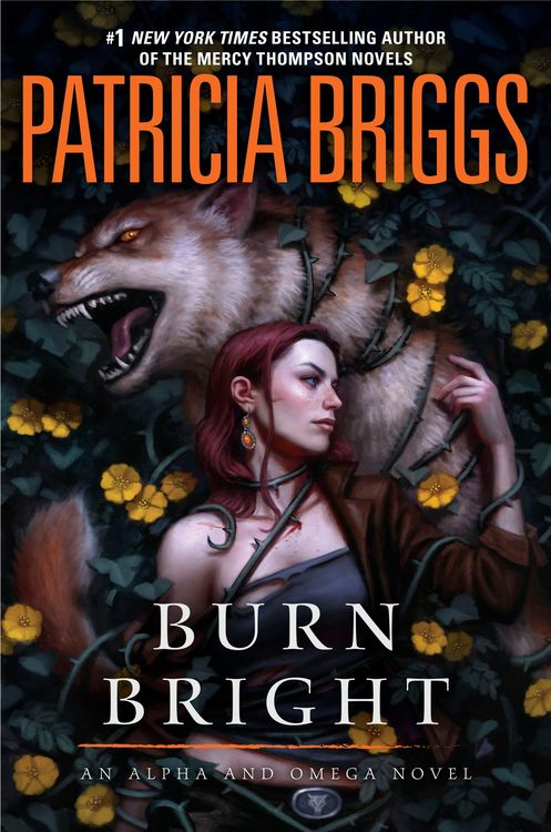 Produktbild: Briggs, P: Burn Bright