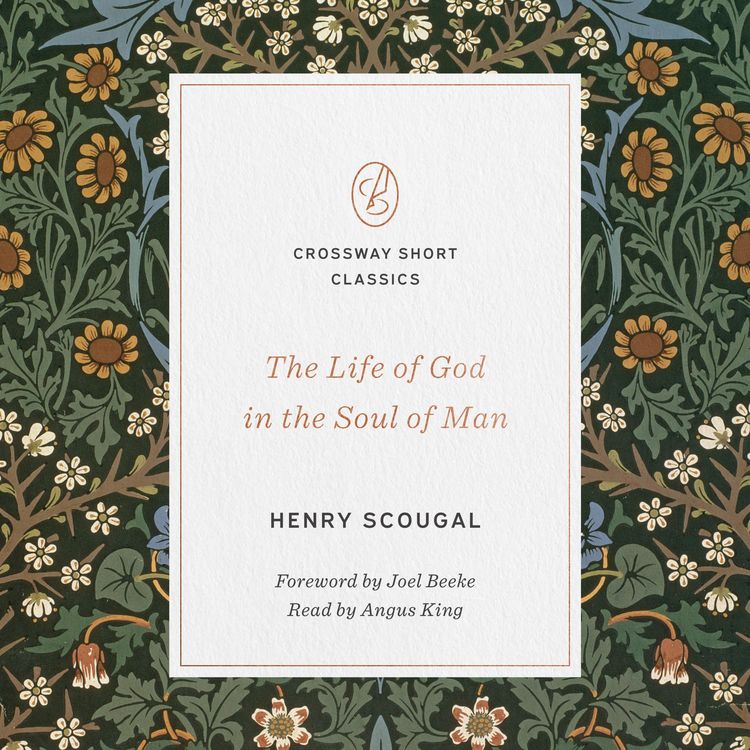 Produktbild: The Life of God in the Soul of Man