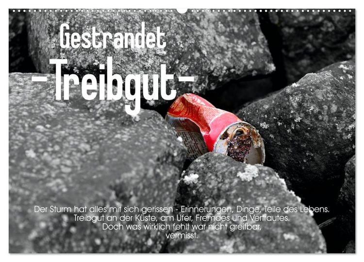 Produktbild: Gestrandet -Treibgut- (Wandkalender 2026 DIN A2 quer), CALVENDO Monatskalender