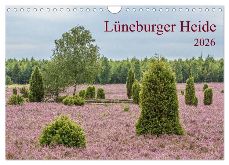 Produktbild: L&uuml;neburger Heide (Wandkalender 2026 DIN A4 quer), CALVENDO Monatskalender