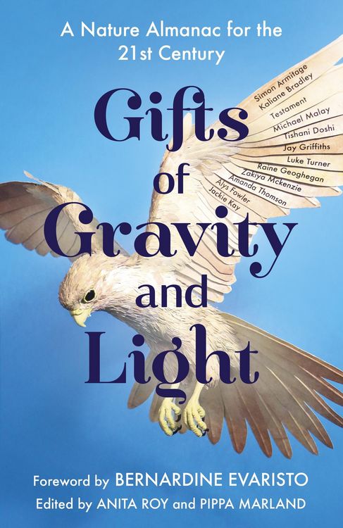 Produktbild: Gifts of Gravity and Light