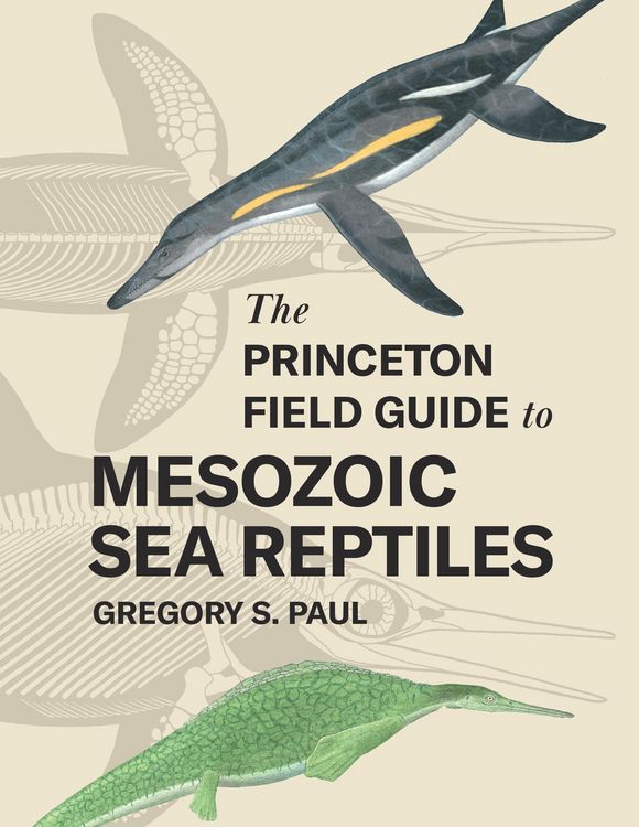 Produktbild: The Princeton Field Guide to Mesozoic Sea Reptiles