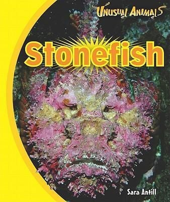 Produktbild: Stonefish