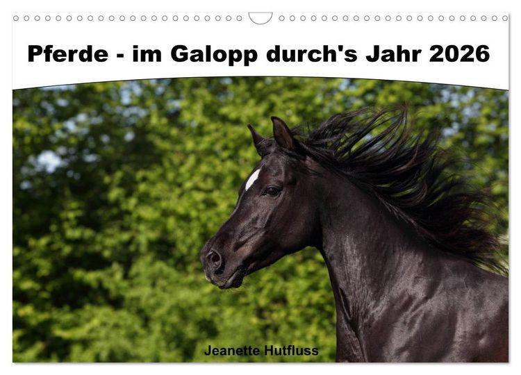 Produktbild: Pferde - im Galopp durch's Jahr 2026 (Wandkalender 2026 DIN A3 quer), CALVENDO Monatskalender