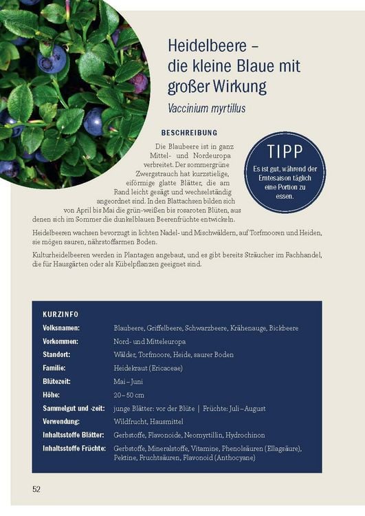 Produktbild: Heimische Fr&uuml;chte &ndash; Rezepte-Buch f&uuml;r saionales & regionales Wild- und Gartenobst