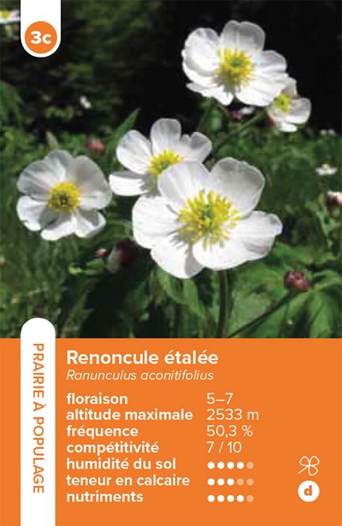 Produktbild: Habitats pelouses et prairies &ndash; le jeu du quatuor