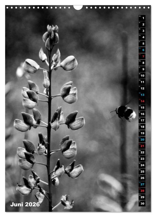 Produktbild: Blumige Graustufen - Schwarz und Wei&szlig; (Wandkalender 2026 DIN A3 hoch), CALVENDO Monatskalender