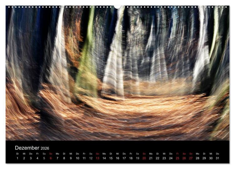 Produktbild: Magischer Wald (Wandkalender 2026 DIN A2 quer), CALVENDO Monatskalender