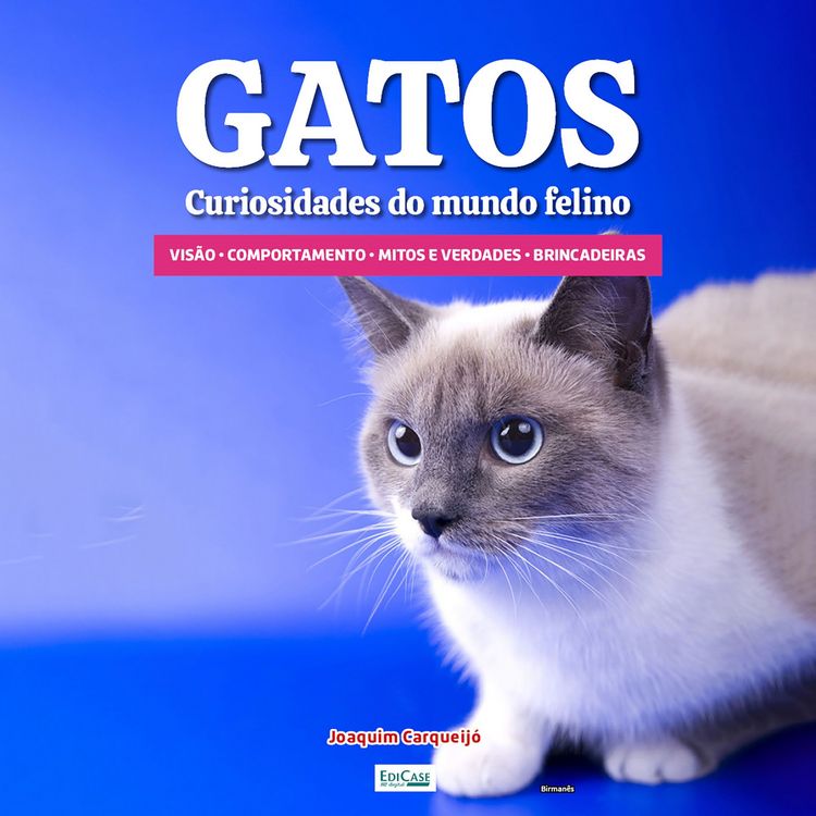 Produktbild: Gatos Curiosidades do Mundo Felino