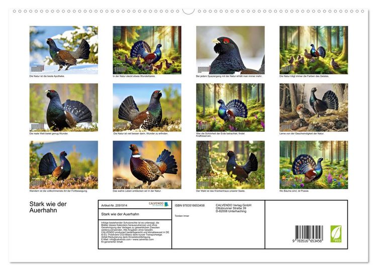 Produktbild: Stark wie der Auerhahn (hochwertiger Premium Wandkalender 2026 DIN A2 quer), Kunstdruck in Hochglanz