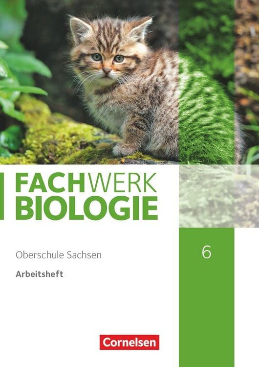 Produktbild: Fachwerk Biologie 6. Schuljahr - Sachsen - Arbeitsheft