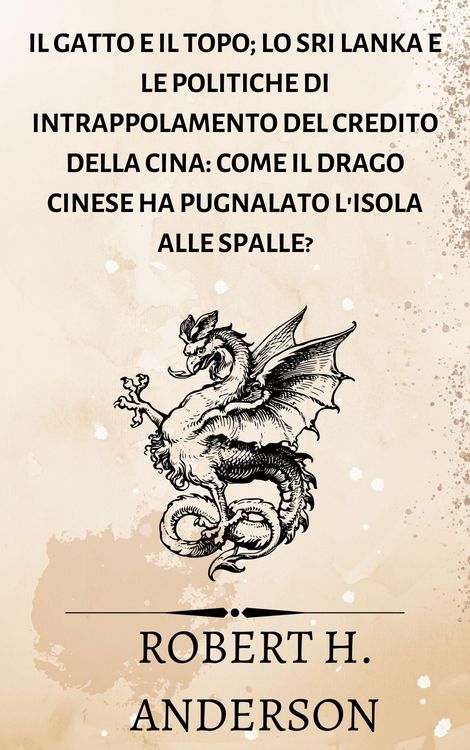 Produktbild: Il gatto e il topo; Lo Sri Lanka e le politiche di intrappolamento del credito della Cina: come il drago cinese ha pugnalato l'isola alle spalle?