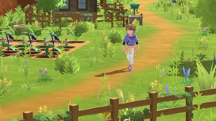 Produktbild: Harvest Moon - Home Sweet Home (Special Edition)