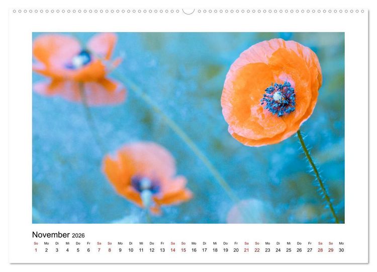 Produktbild: Oranger Bl&uuml;tentraum (Wandkalender 2026 DIN A2 quer), CALVENDO Monatskalender