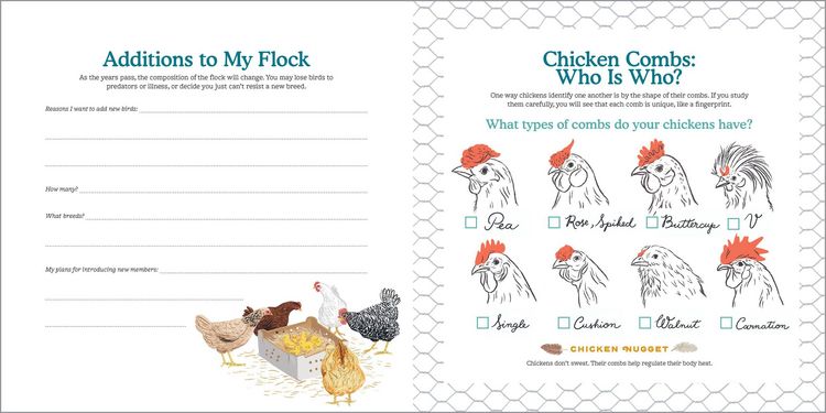 Produktbild: My Chicken Family