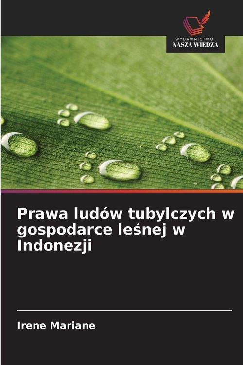 Produktbild: Prawa lud&oacute;w tubylczych w gospodarce le&iquest;nej w Indonezji