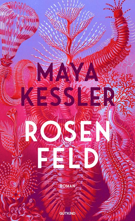 Produktbild: Rosenfeld