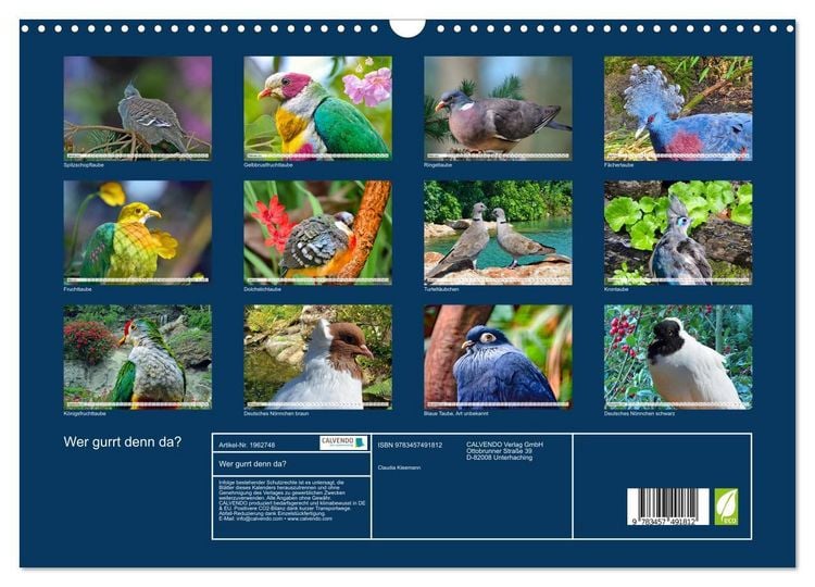 Produktbild: Wer gurrt denn da? (Wandkalender 2026 DIN A3 quer), CALVENDO Monatskalender