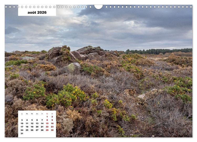 Produktbild: La Bretagne. La c&ocirc;te d'Emeraude et la c&ocirc;te de Penthi&egrave;vre (Calendrier mural 2026 DIN A3 vertical), CALVENDO calendrier mensuel