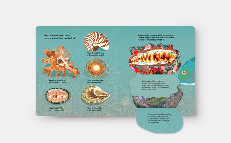 Produktbild: Shells... and what they hide inside