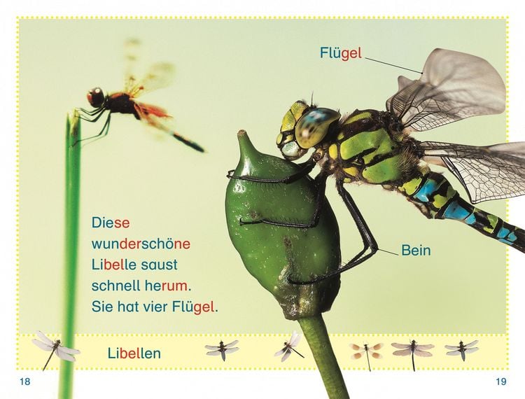 Produktbild: SUPERLESER! Wer versteckt sich im Garten?