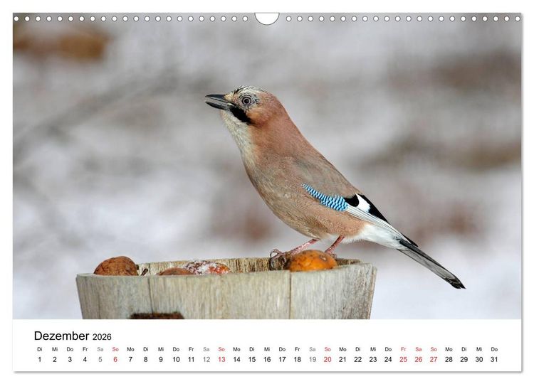 Produktbild: Heimische Tierwelt (Wandkalender 2026 DIN A3 quer), CALVENDO Monatskalender