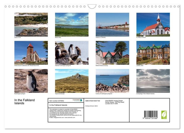 Produktbild: In the Falkland Islands (Wall Calendar 2026 DIN A3 landscape), CALVENDO 12 Month Wall Calendar