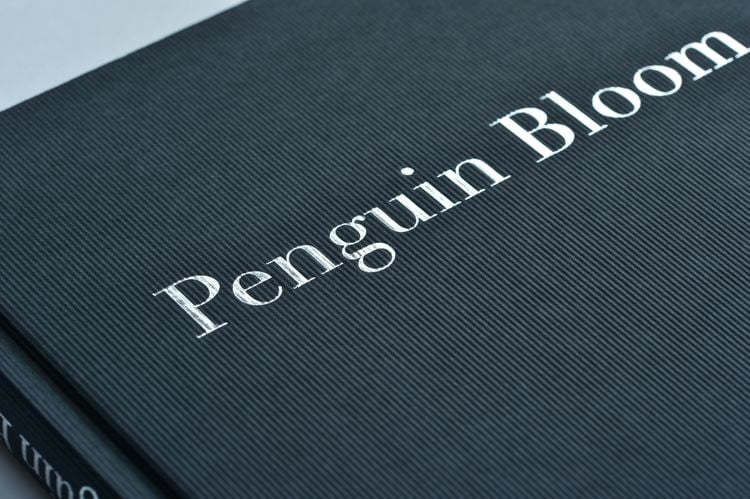 Produktbild: Penguin Bloom