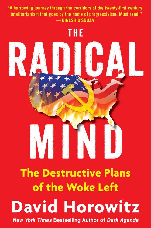 Produktbild: The Radical Mind