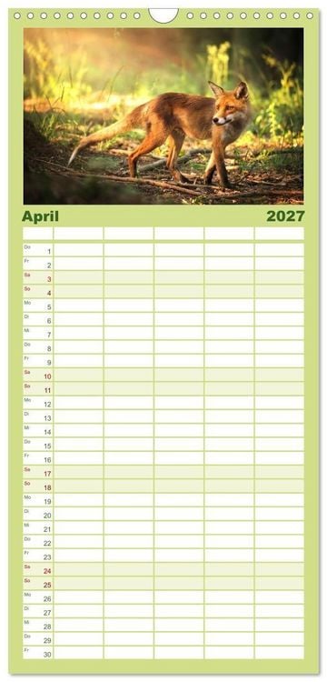 Produktbild: Familienplaner 2027 - Die Tiere des Waldes mit 5 Spalten (Wandkalender, 21 x 45 cm) CALVENDO