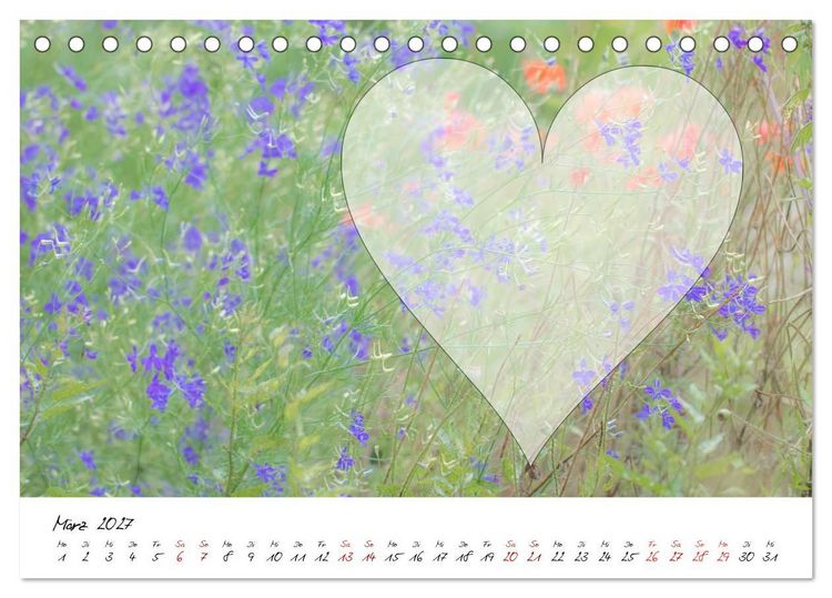 Produktbild: Blauer Bl&uuml;tentraum - Bastelkalender (Tischkalender 2027 DIN A5 quer), CALVENDO Monatskalender