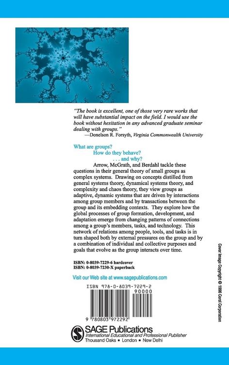 Produktbild: Small Groups as Complex Systems