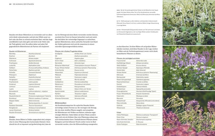 Produktbild: Immerbl&uuml;hende Beete