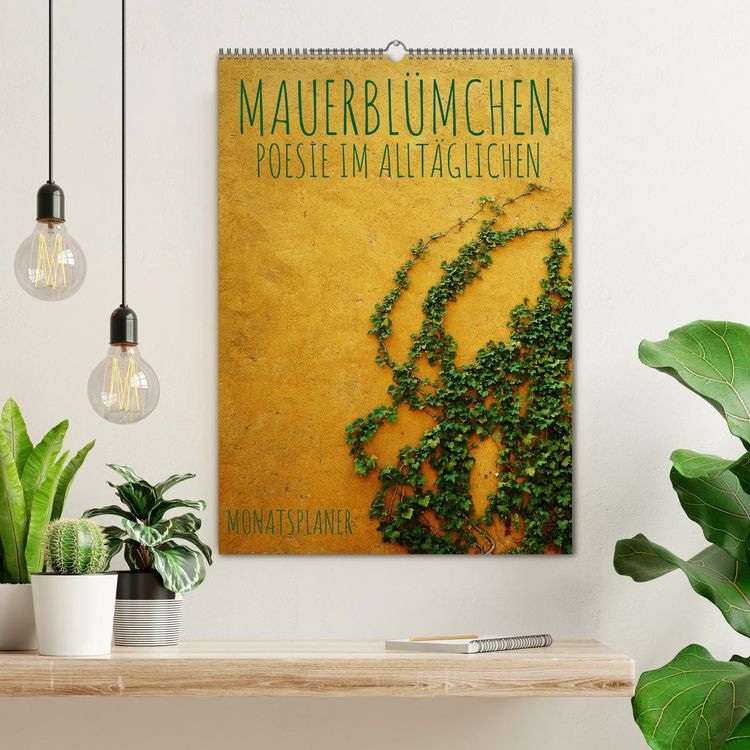 Produktbild: Mauerbl&uuml;mchen - Poesie im Allt&auml;glichen als Monatsplaner (Wandkalender 2026 DIN A2 hoch), CALVENDO Monatskalender