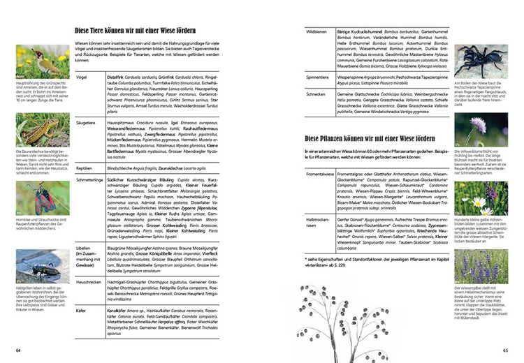 Produktbild: Praxishandbuch Stadtnatur