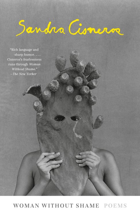 Produktbild: Woman Without Shame
