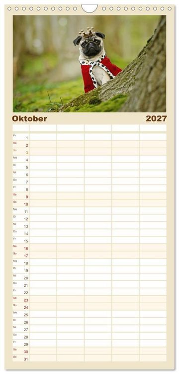 Produktbild: Familienplaner 2027 - Lustige M&ouml;pse aus der Hundeknipserei mit 5 Spalten (Wandkalender, 21 x 45 cm) CALVENDO