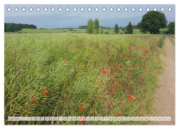 Produktbild: Natur-Paradies Mecklenburgische Schweiz (Tischkalender 2026 DIN A5 quer), CALVENDO Monatskalender
