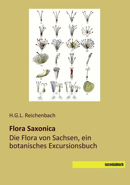 Produktbild: Flora Saxonica