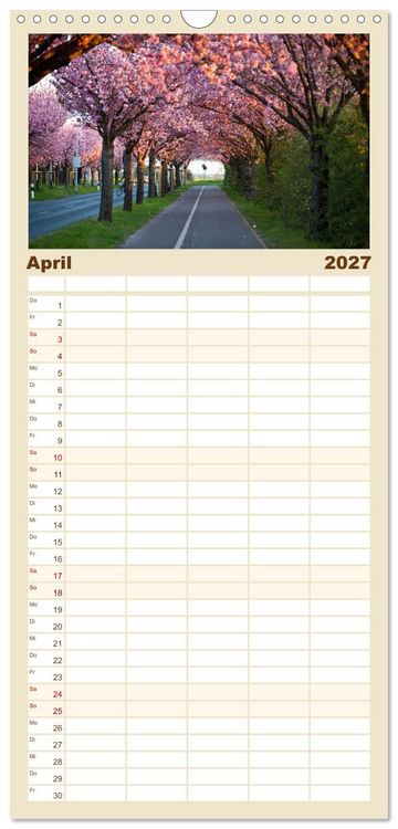 Produktbild: Familienplaner 2027 - Magdeburg an der Elbe - Der Planer mit 5 Spalten (Wandkalender, 21 x 45 cm) CALVENDO