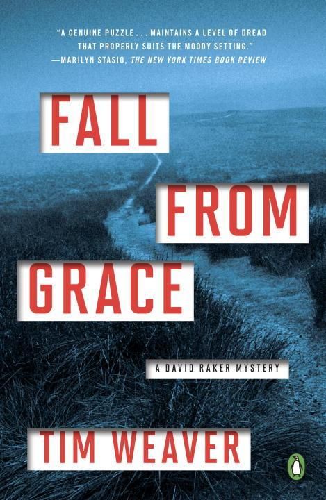 Produktbild: Fall from Grace