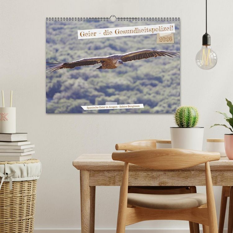 Produktbild: Geier - die Gesundheitspolizei! (Wandkalender 2026 DIN A3 quer), CALVENDO Monatskalender