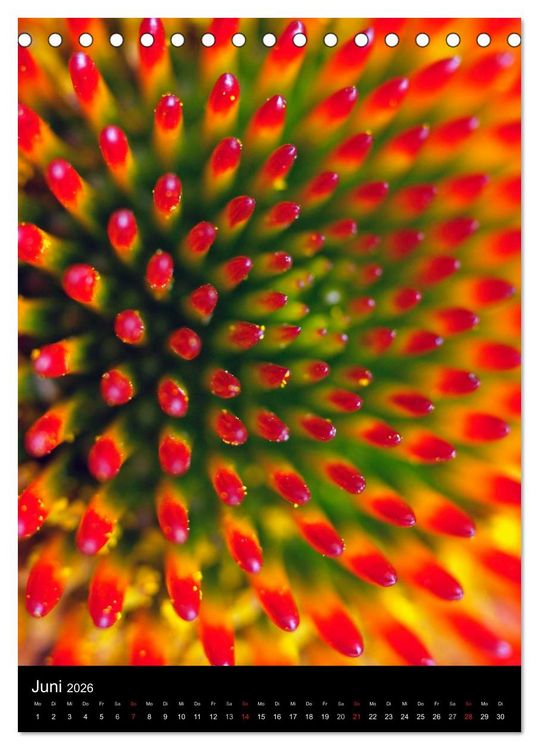 Produktbild: Kunst in der Natur (Tischkalender 2026 DIN A5 hoch), CALVENDO Monatskalender