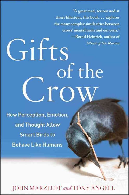 Produktbild: Gifts of the Crow: How Perception, Emotion, and Thought Allow Smart Birds to Behave Like Humans