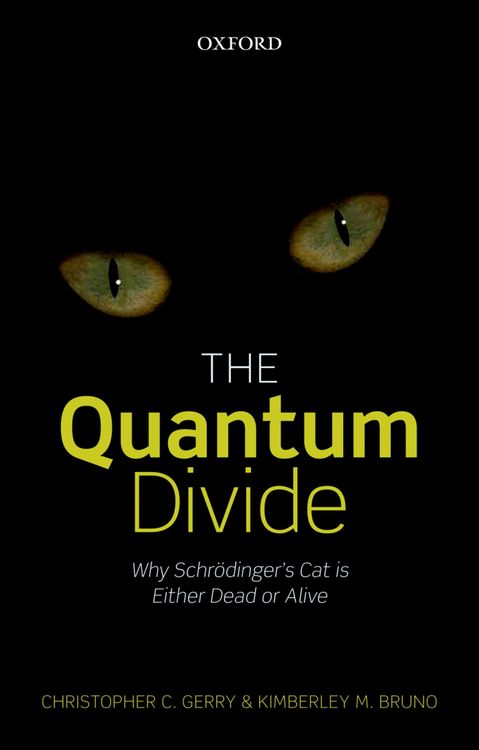 Produktbild: The Quantum Divide