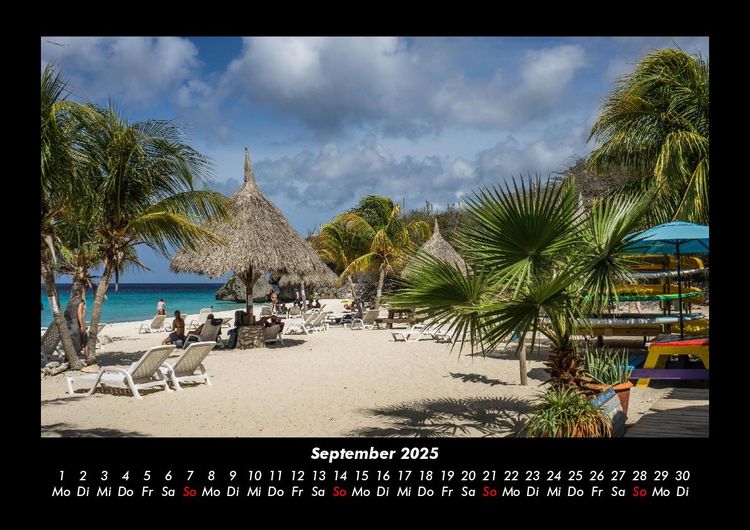 Produktbild: Palmen 2025 Fotokalender DIN A3