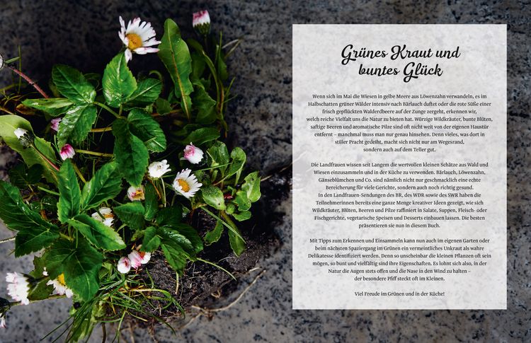 Produktbild: Kr&auml;utergl&uuml;ck mit den Landfrauen
