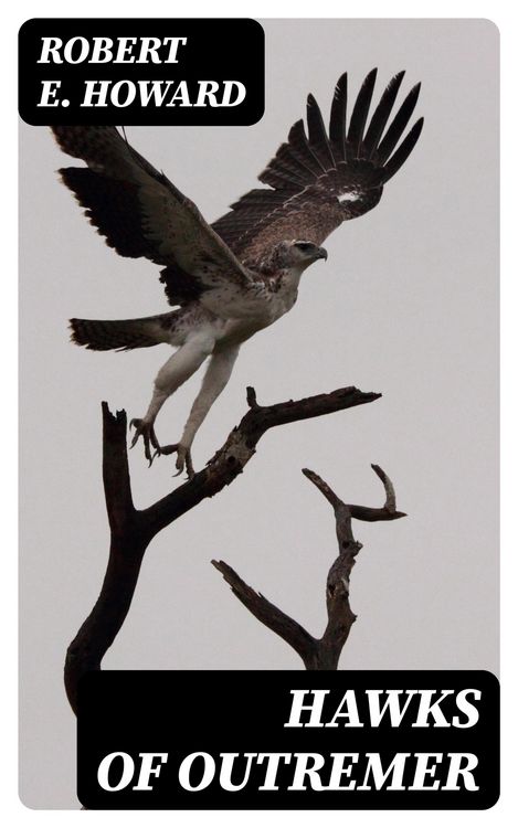 Produktbild: Hawks of Outremer