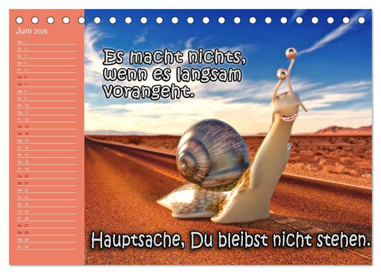 Produktbild: Tierische Toons (Tischkalender 2026 DIN A5 quer), CALVENDO Monatskalender