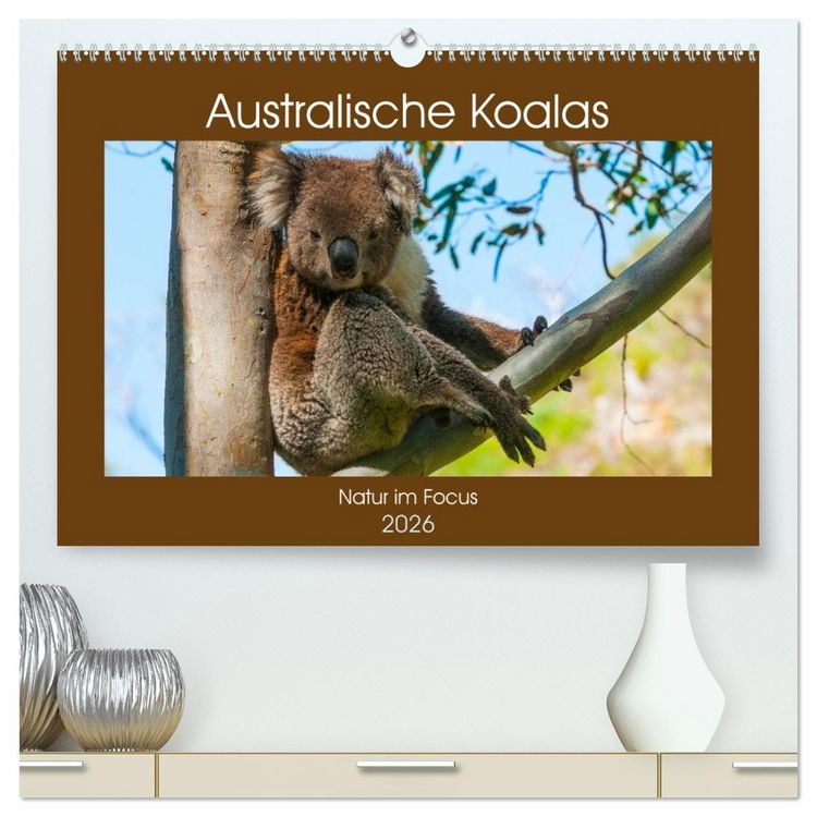 Produktbild: Australische Koalas (hochwertiger Premium Wandkalender 2026 DIN A2 quer), Kunstdruck in Hochglanz
